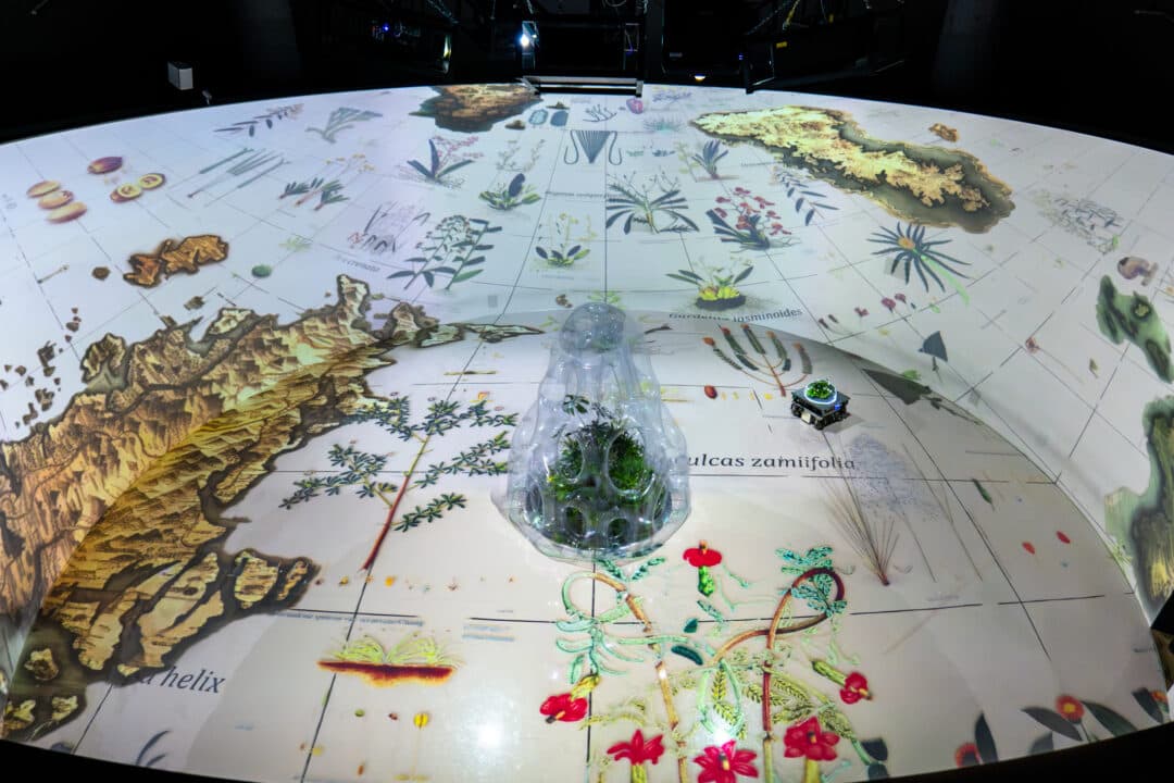 串流群落——溫室中的溫室-1