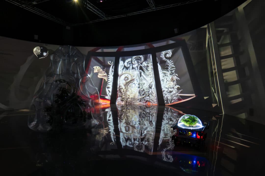 串流群落——溫室中的溫室-2