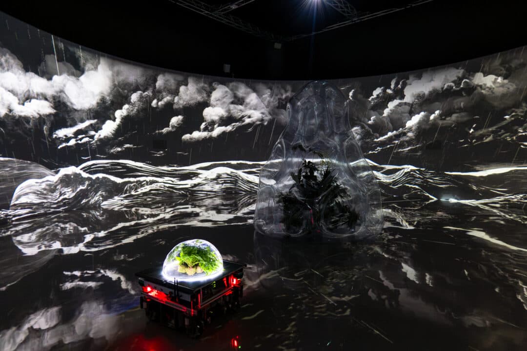 串流群落——溫室中的溫室