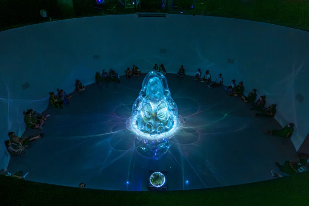 串流群落——溫室中的溫室-4