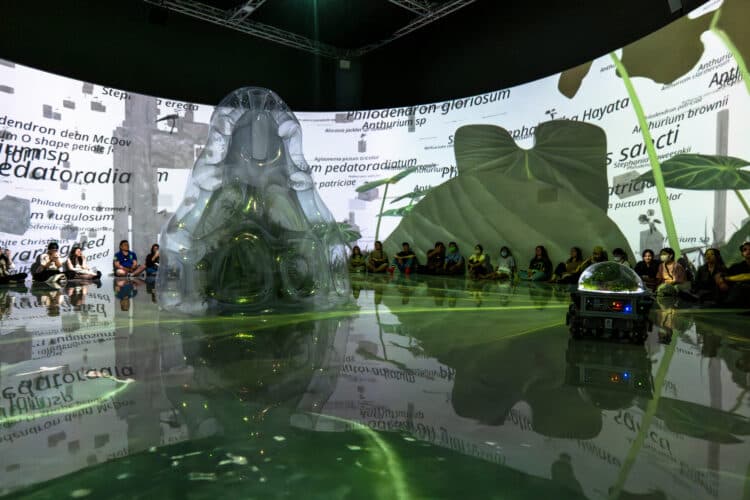 串流群落——溫室中的溫室-5