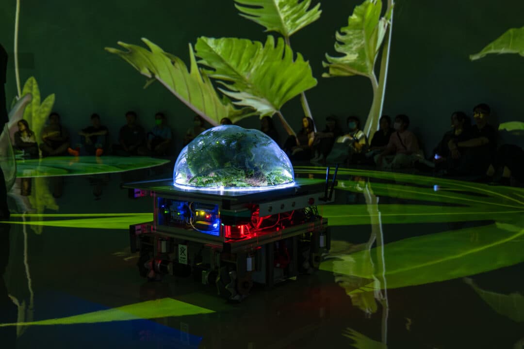 串流群落——溫室中的溫室-6