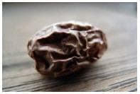 圖抗系的系│ 讓種子乾癟