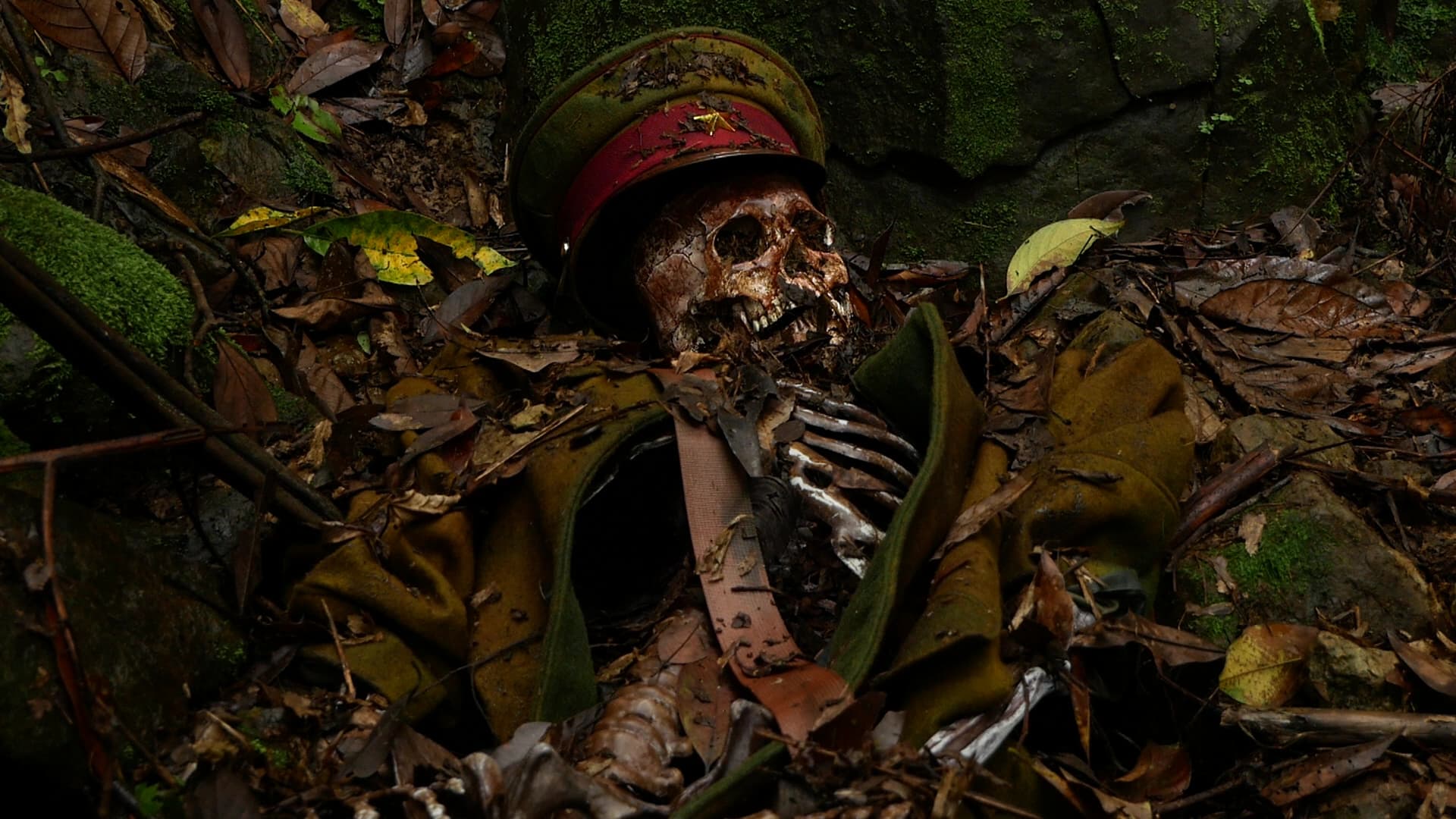 槍砲、頭顱與骸骨