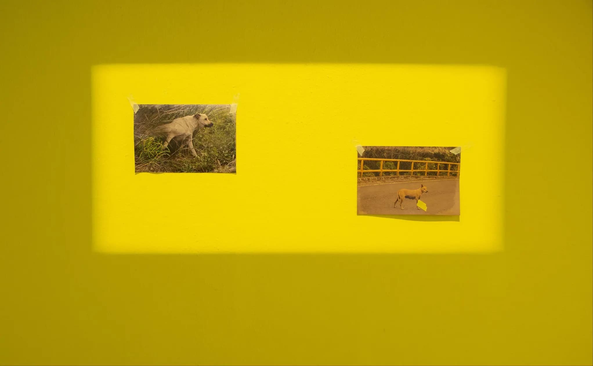 如何達到平衡 How to Get Balance-5