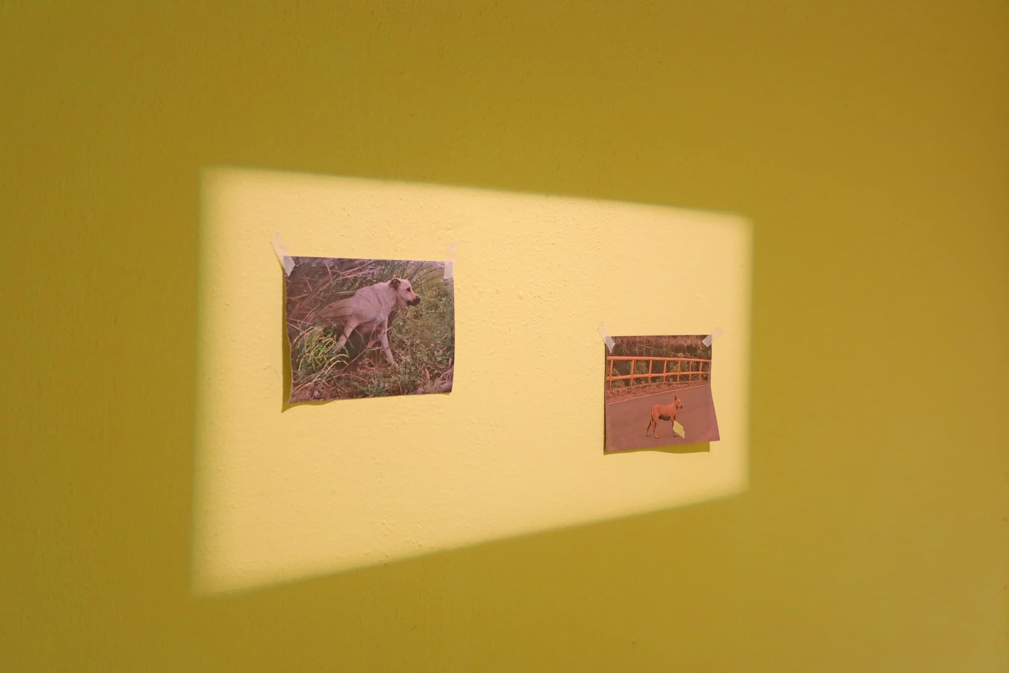 如何達到平衡 How to Get Balance-6