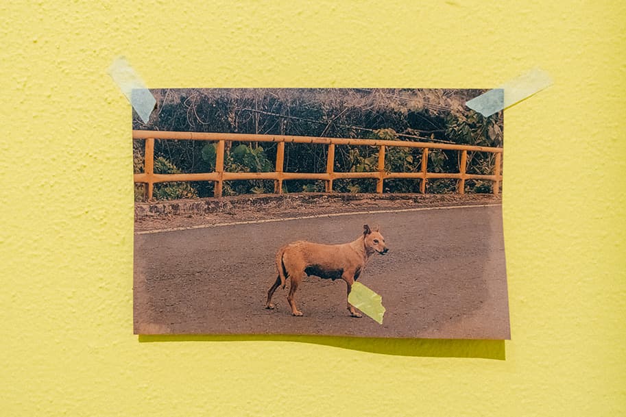 如何達到平衡 How to Get Balance-8