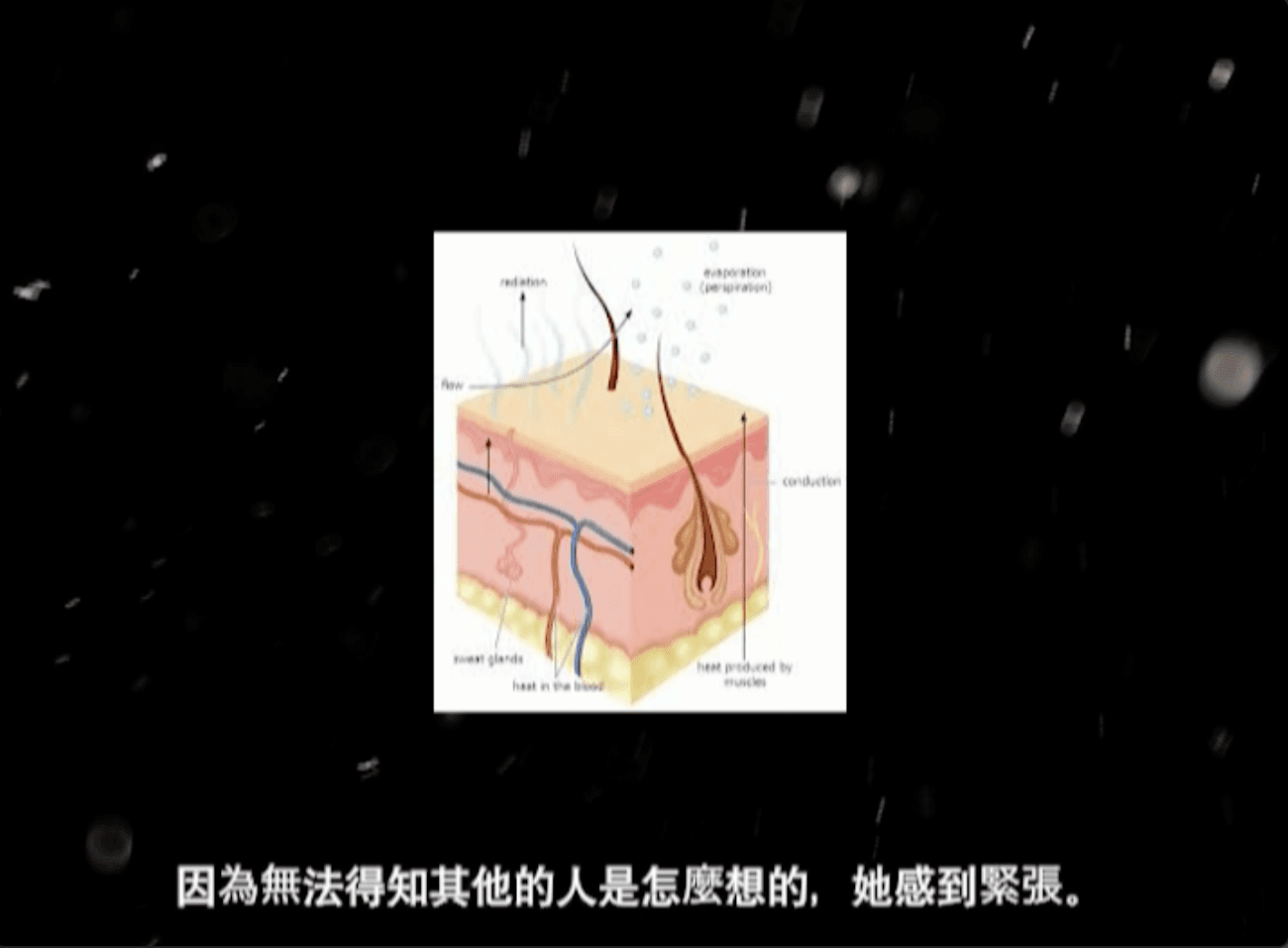燃燒的 石頭： 熱檔案
