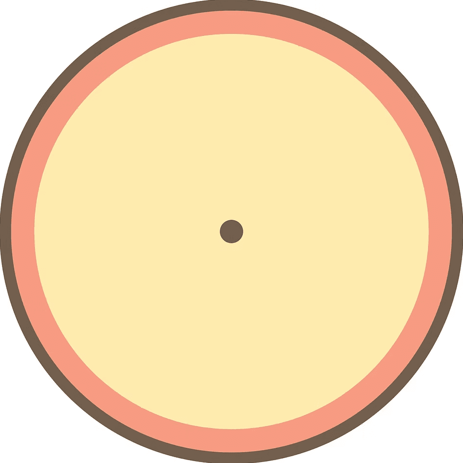 角落生物炸蝦的旋轉肖像