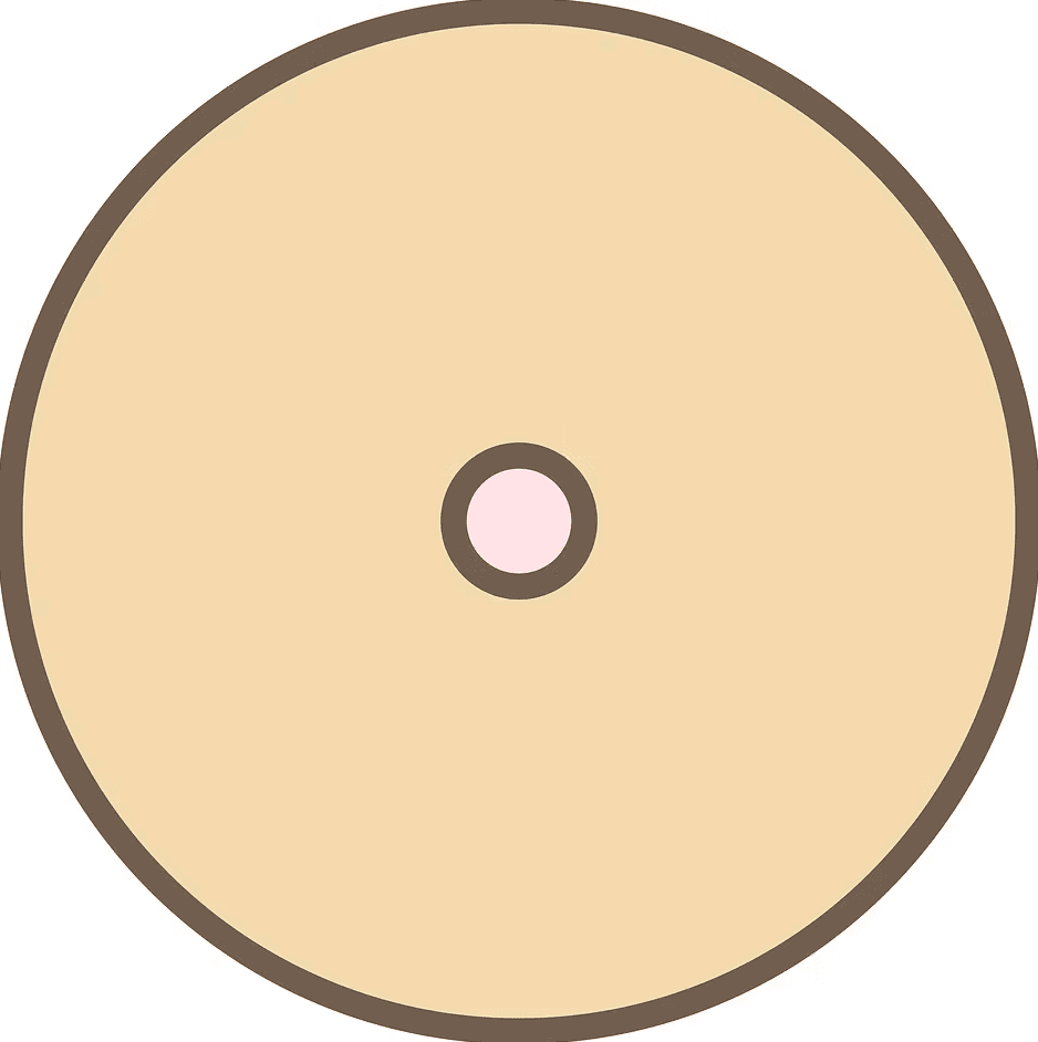 角落生物炸豬排的旋轉肖像