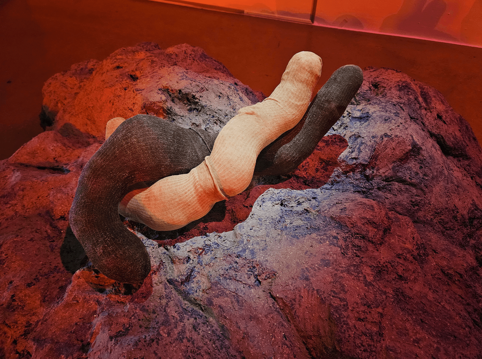 截圖 2026-01-07 12.25.23