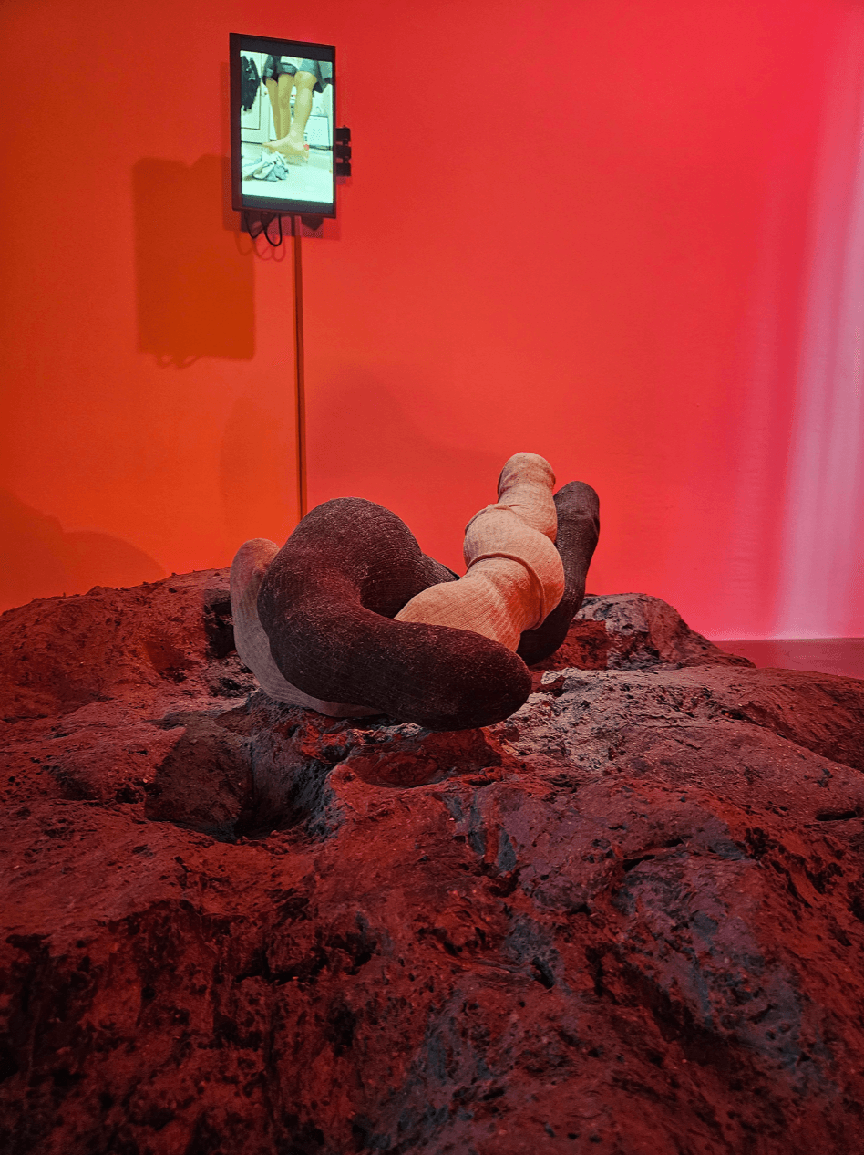 截圖 2026-01-07 12.25.46