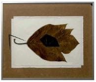 圖抗系2│飛入士林看守所