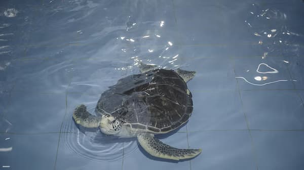 朱駿騰 而它來去匆匆 劇照 3