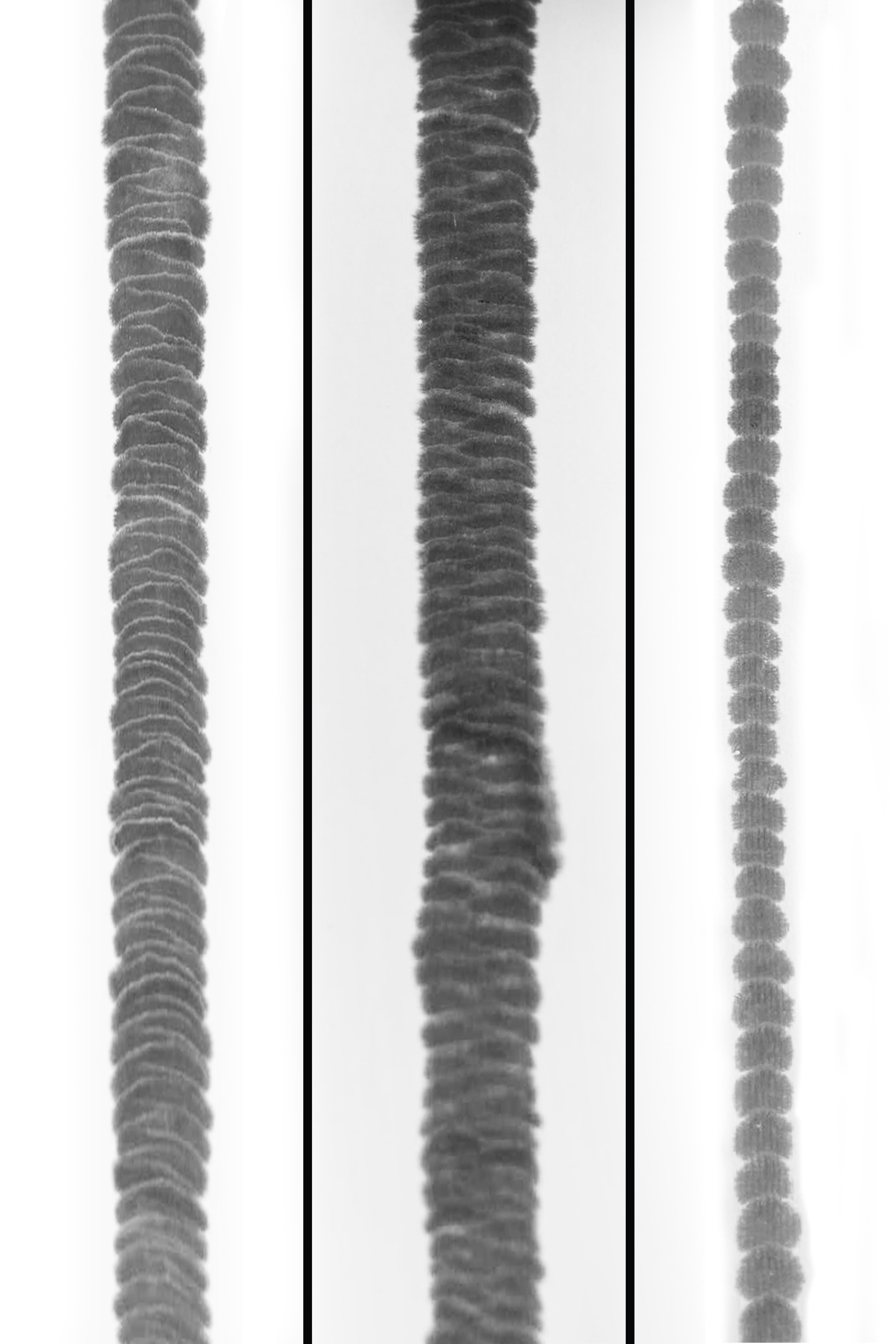 焊道做為一種書法