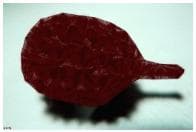 圖抗系的系│在相片上描繪一個物質