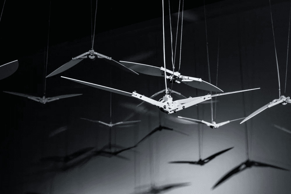 盂施甫＿無題3_1