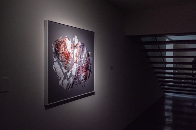 第一個沉浸式影像