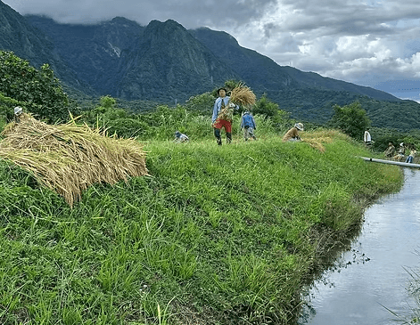 稻此── 藝駐共創，台東長濱駐地發表