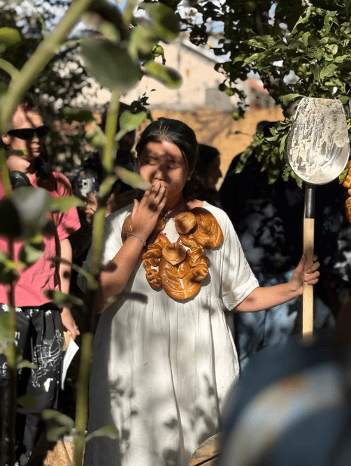 螢幕擷取畫面 2026-01-11 115348