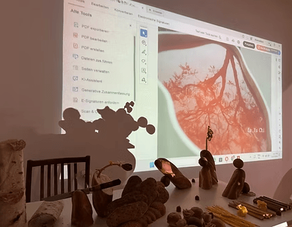 螢幕擷取畫面 2026-01-11 115748