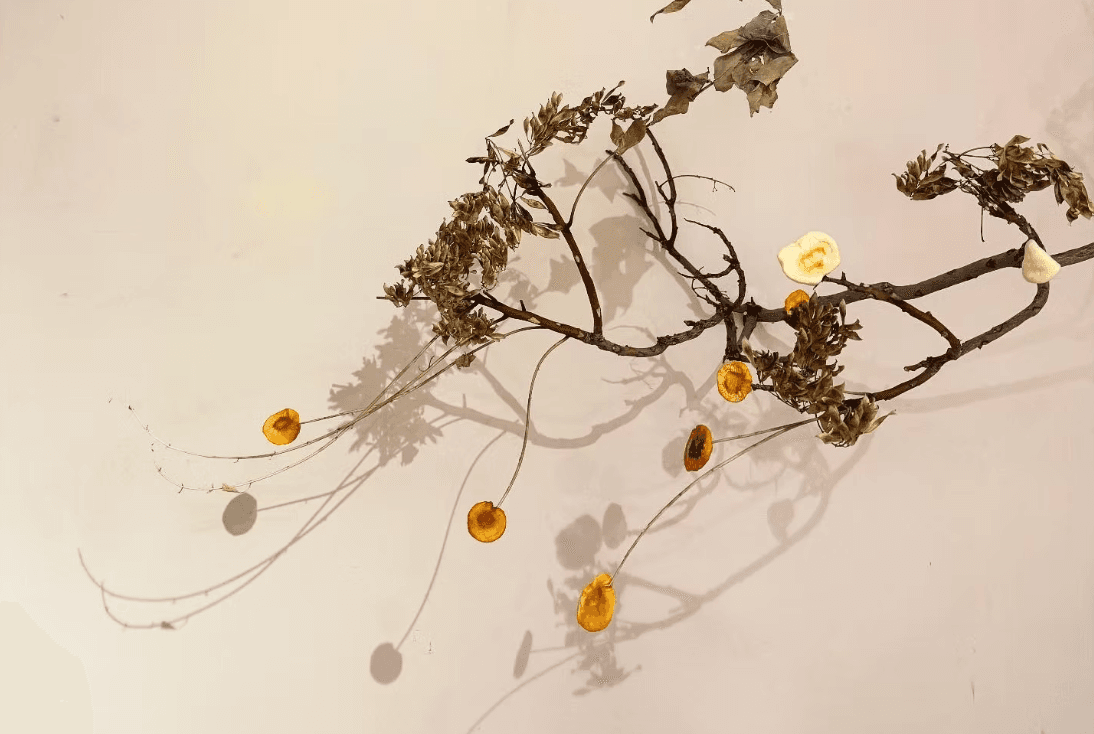 螢幕擷取畫面 2026-01-11 120115