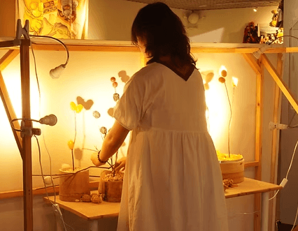 螢幕擷取畫面 2026-01-11 120407