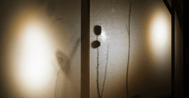 螢幕擷取畫面 2026-01-11 120414