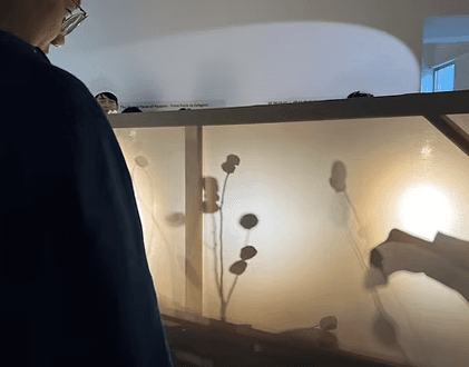 螢幕擷取畫面 2026-01-11 120452