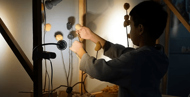 螢幕擷取畫面 2026-01-11 120457