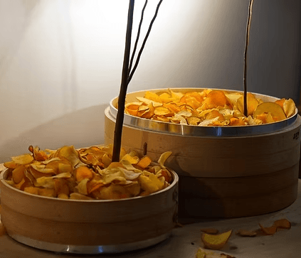 螢幕擷取畫面 2026-01-11 120505