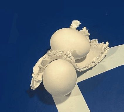 螢幕擷取畫面 2026-01-11 120842