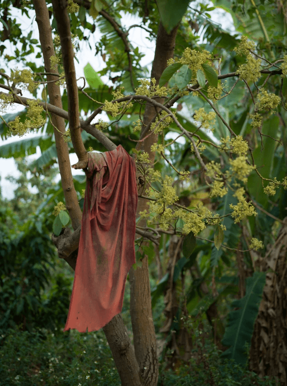 螢幕擷取畫面 2026-01-11 133952