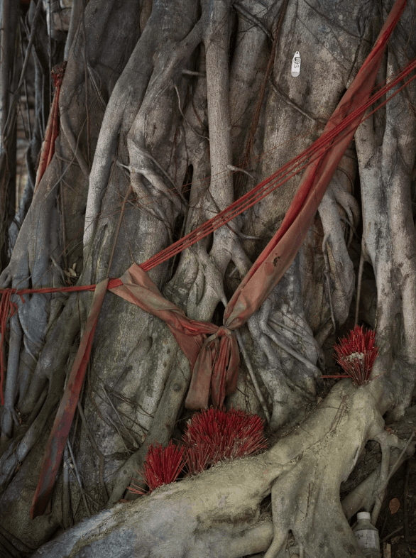 螢幕擷取畫面 2026-01-11 134011