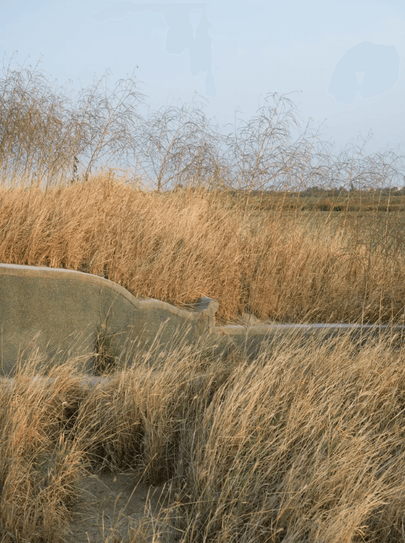 螢幕擷取畫面 2026-01-11 134036