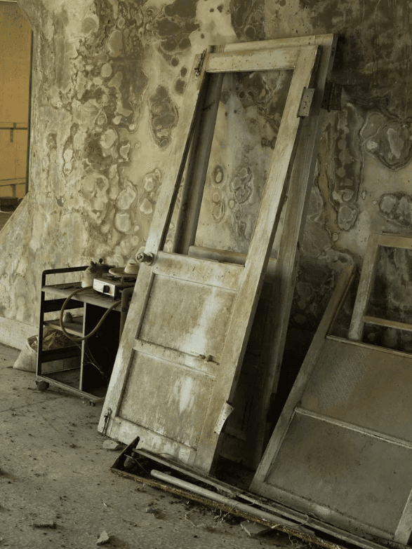 螢幕擷取畫面 2026-01-11 134054