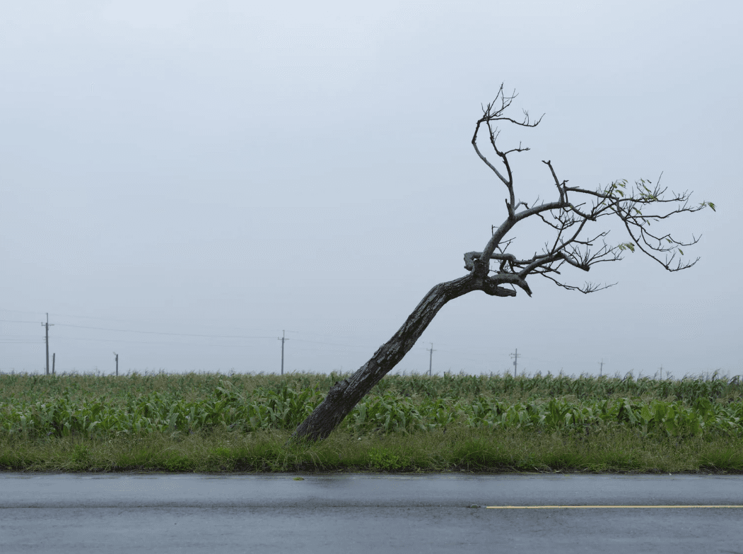 螢幕擷取畫面 2026-01-11 134357