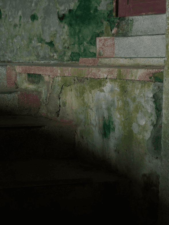 螢幕擷取畫面 2026-01-11 134757_1