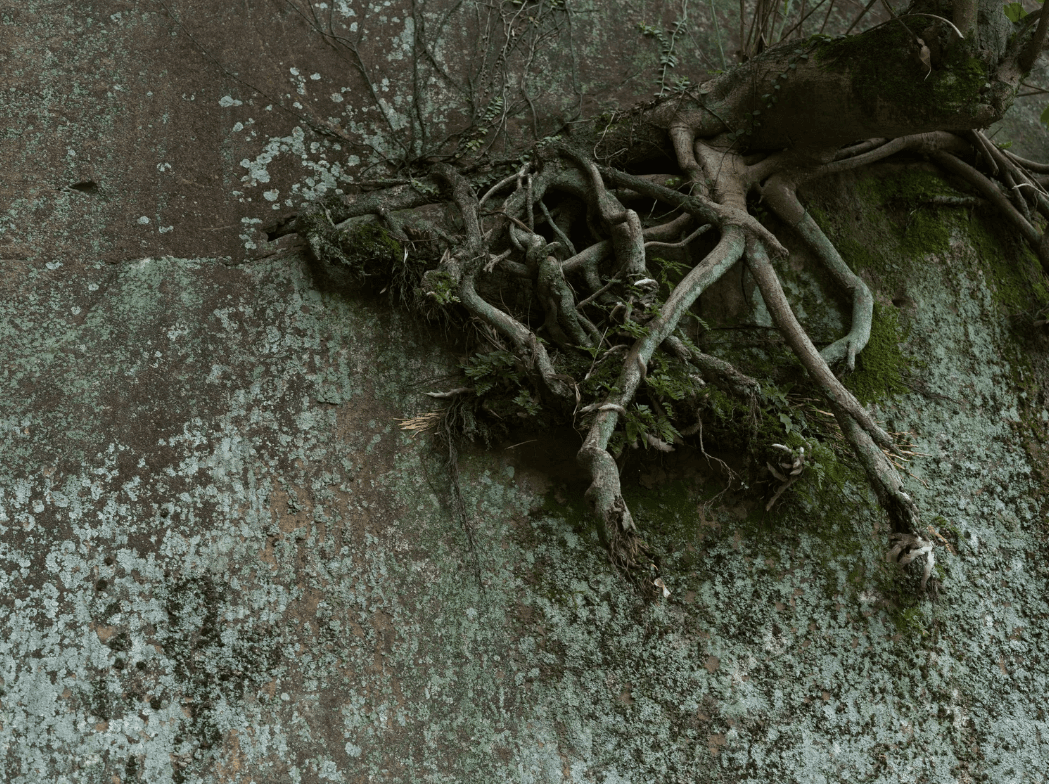 螢幕擷取畫面 2026-01-11 134808_1