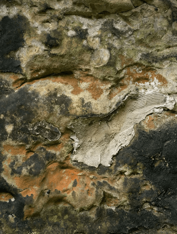 螢幕擷取畫面 2026-01-11 134825_1