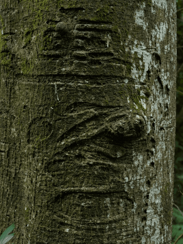 螢幕擷取畫面 2026-01-11 134837_1