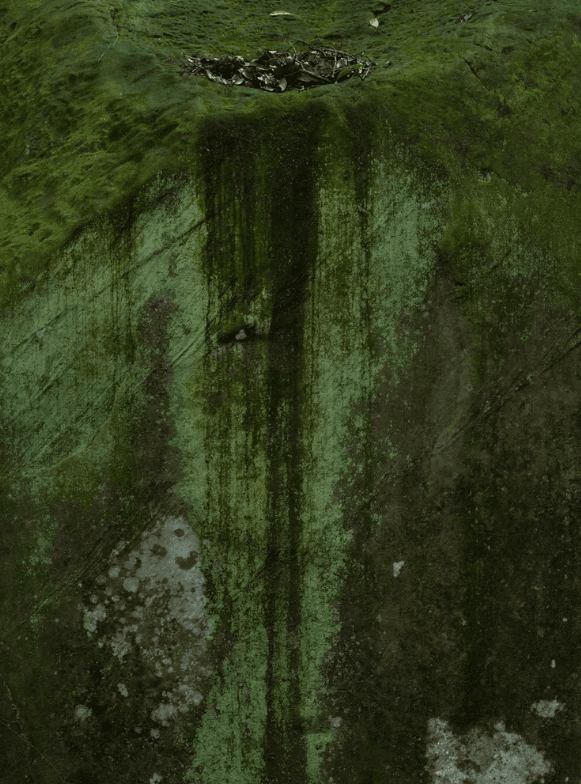 螢幕擷取畫面 2026-01-11 134842_1