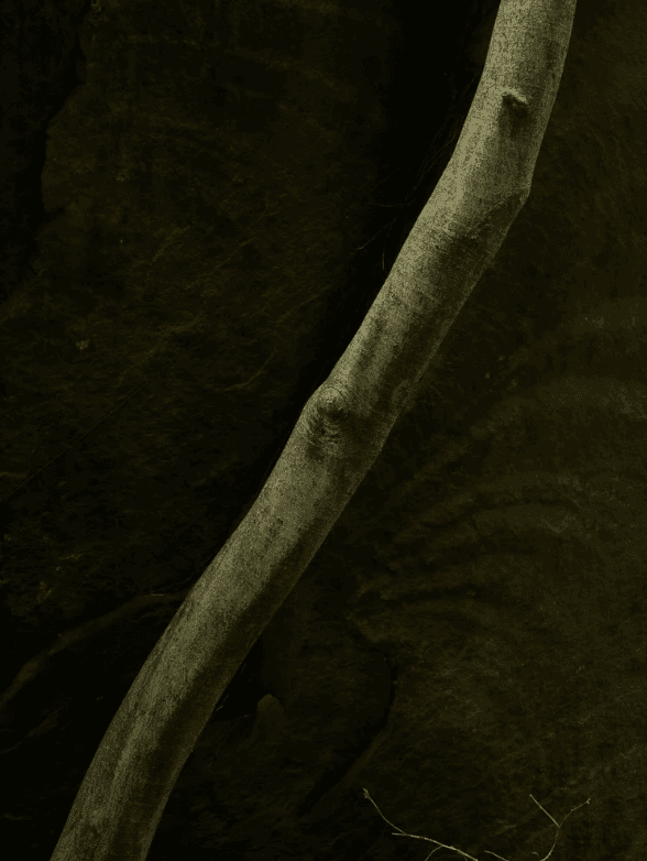 螢幕擷取畫面 2026-01-11 134855_1