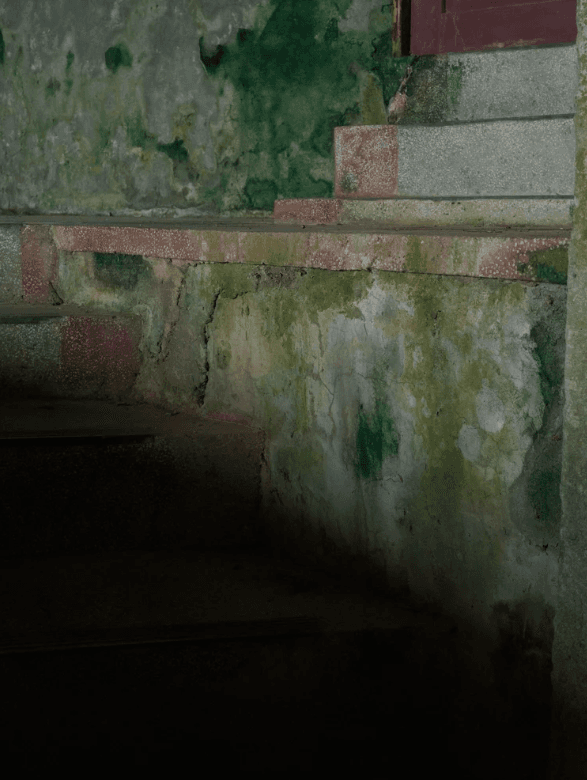 螢幕擷取畫面 2026-01-11 134911_1