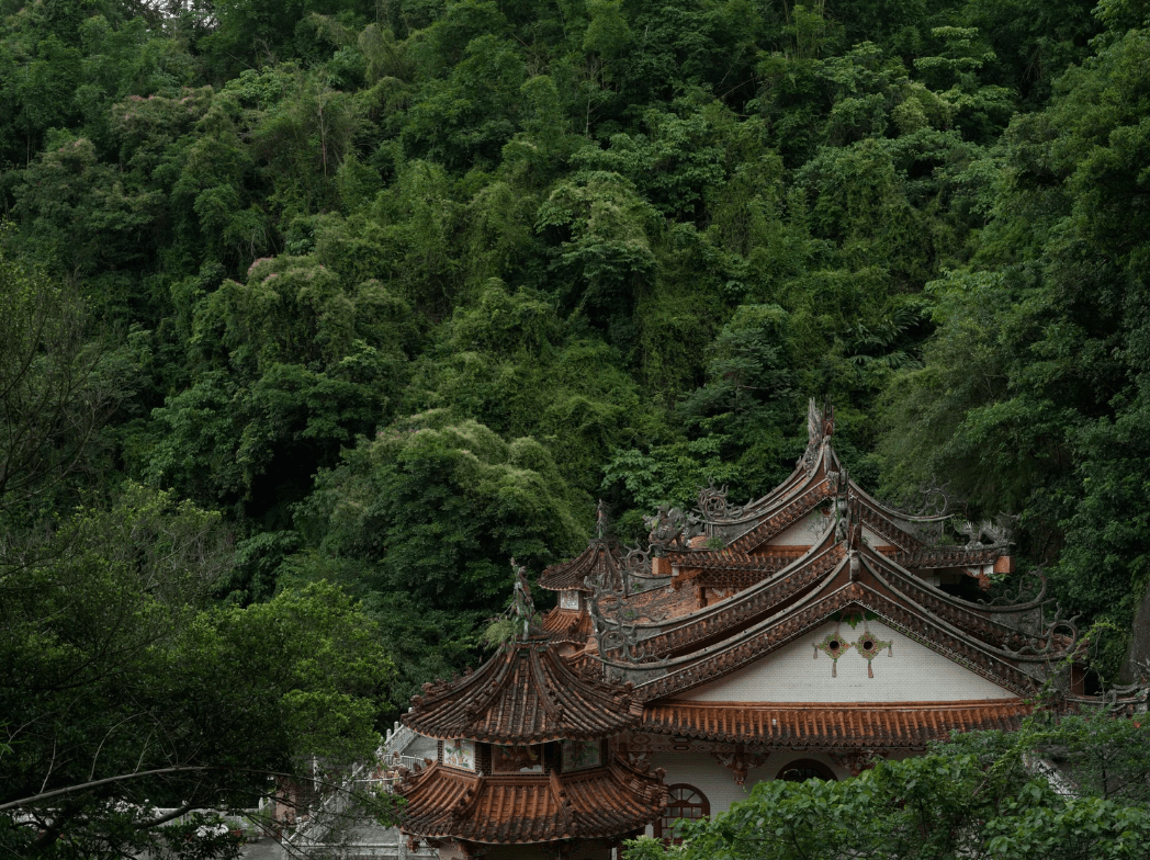 螢幕擷取畫面 2026-01-11 134929_1