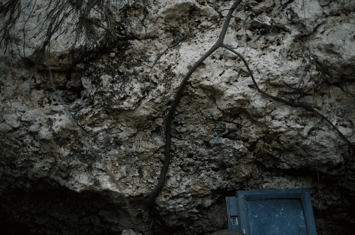 螢幕擷取畫面 2026-01-11 135321