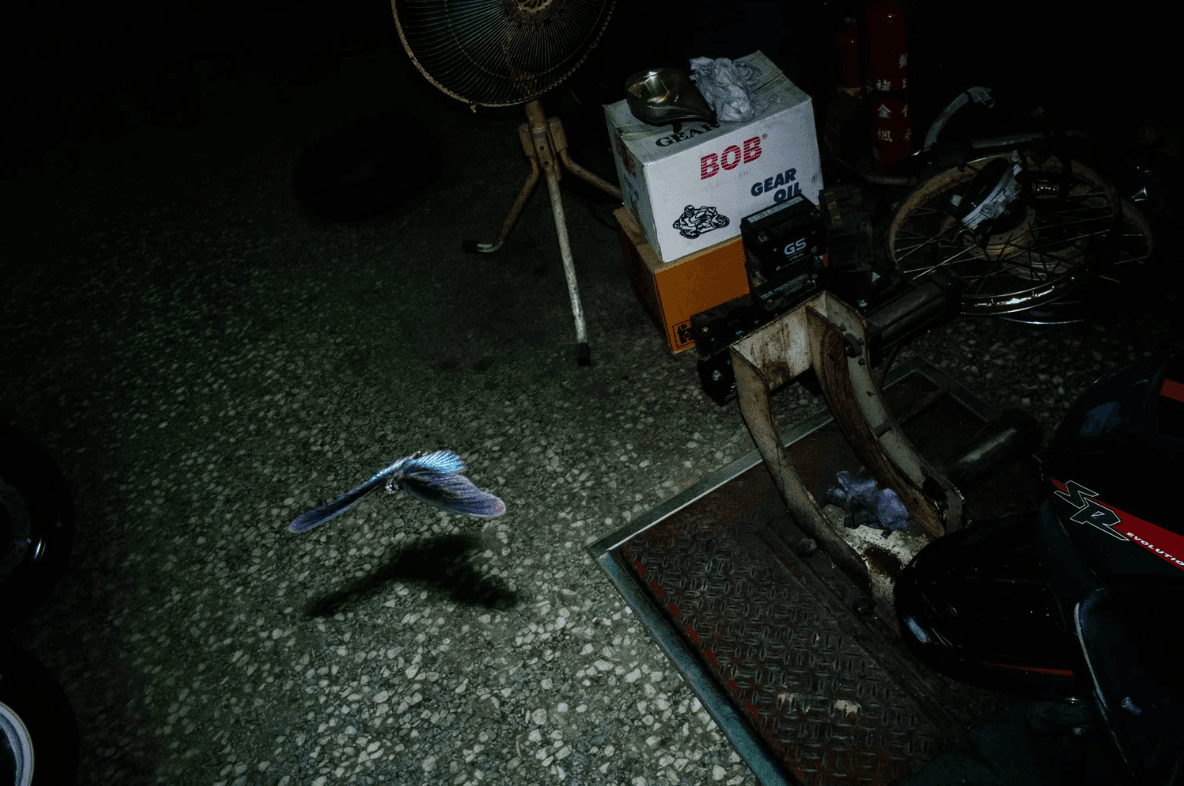 螢幕擷取畫面 2026-01-11 135349