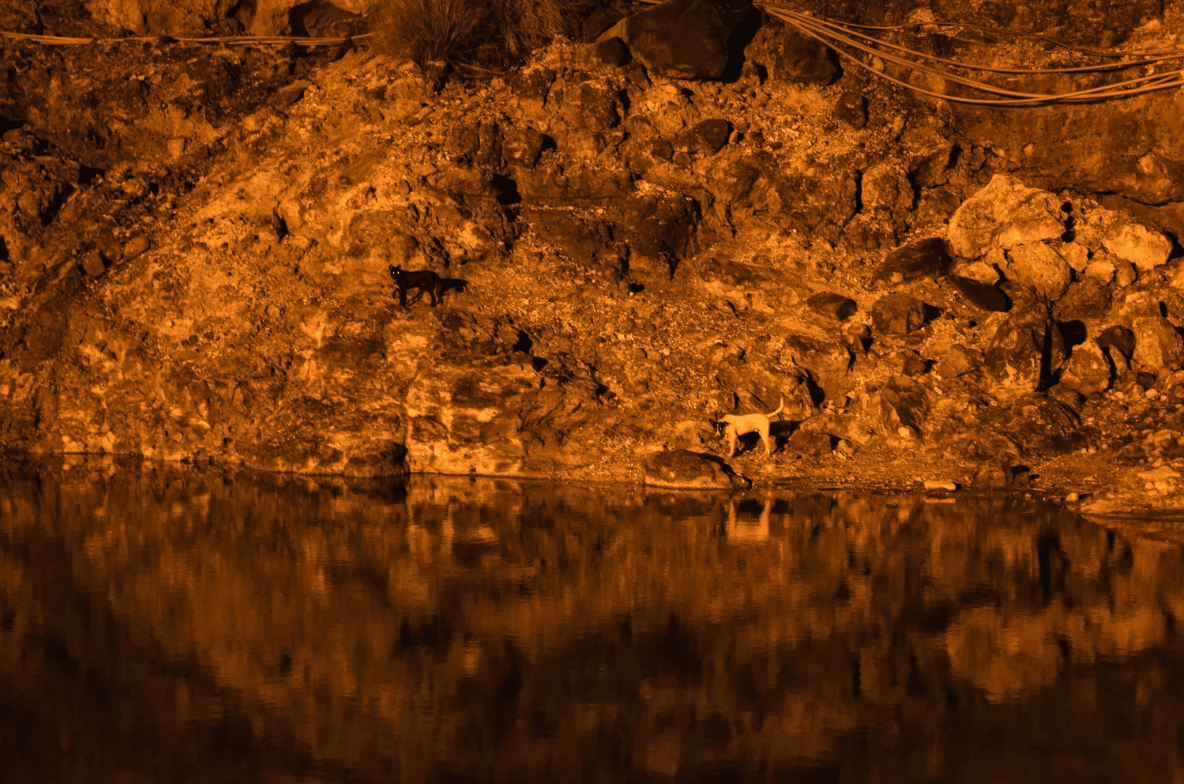 螢幕擷取畫面 2026-01-11 135355