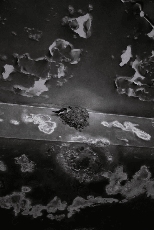 螢幕擷取畫面 2026-01-11 135405