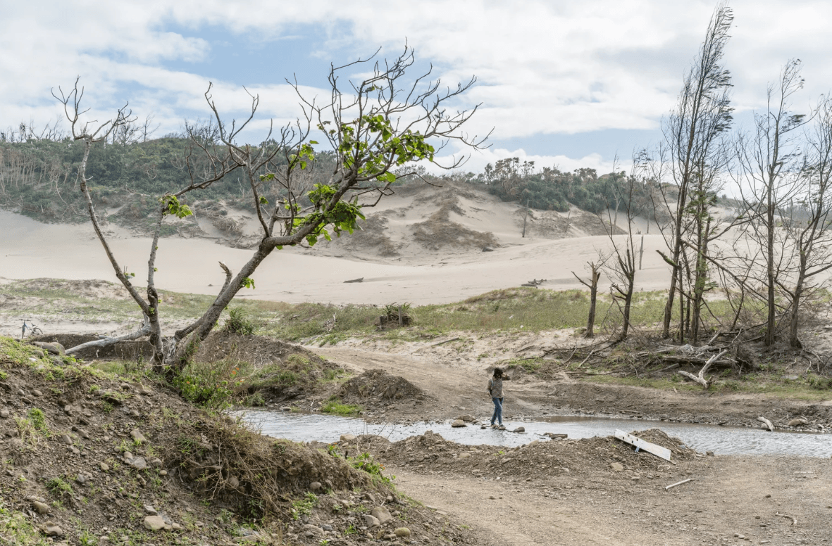 螢幕擷取畫面 2026-01-11 135410